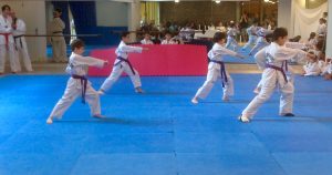 club dojang taekwondo paris 13
